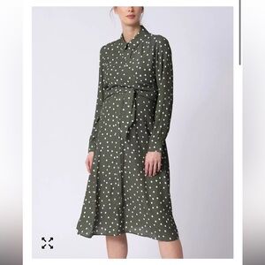 Seraphine Polka Dot Green Dress